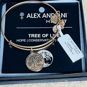 Alex and Ani Bracelet